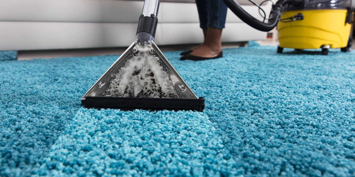 ﻿﻿﻿Carpet Cleaning Services That Specialize in Pet Hair Removal